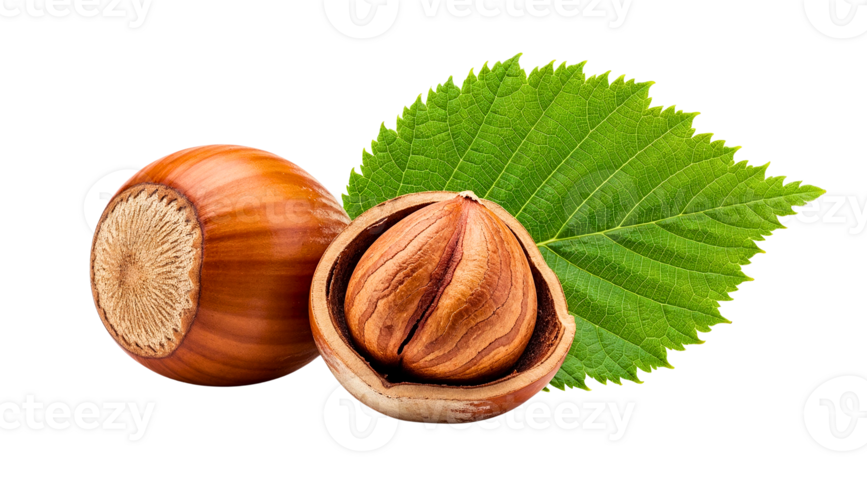 Whole and cracked hazelnut with green leaf png