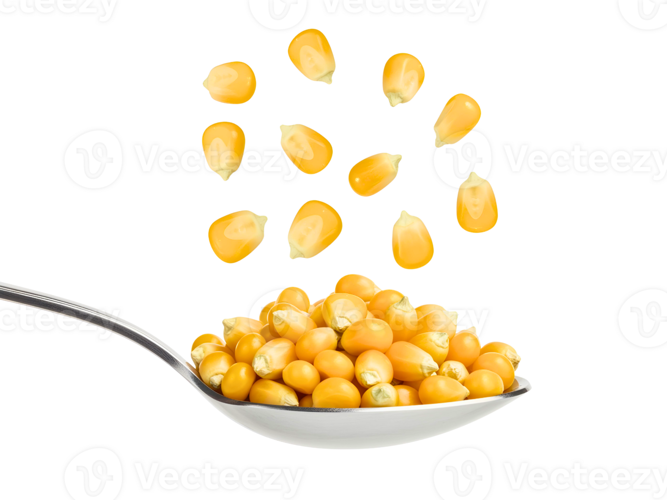 Yellow corn kernels falling into a metal spoon png