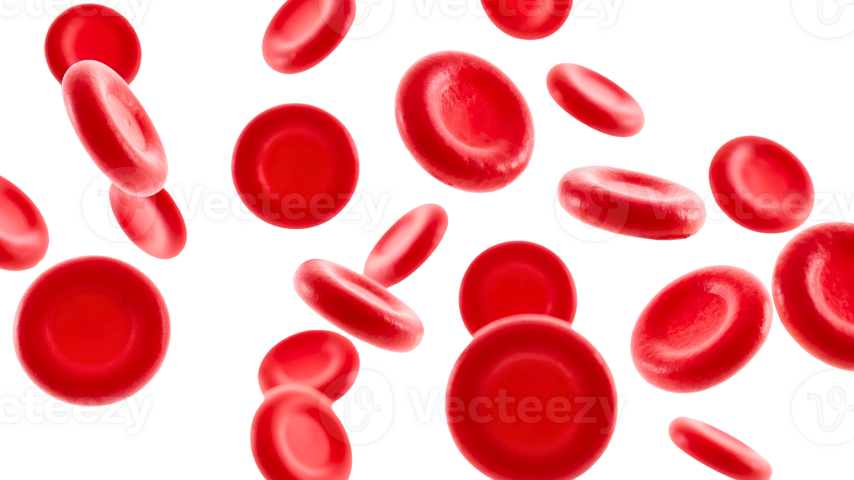 Multiple red blood cells in motion, digitally rendered png