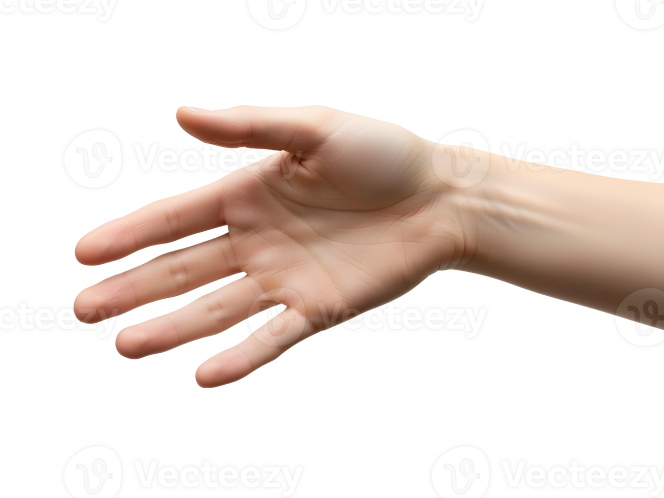 Realistic open human hand extended forward with palm visible png