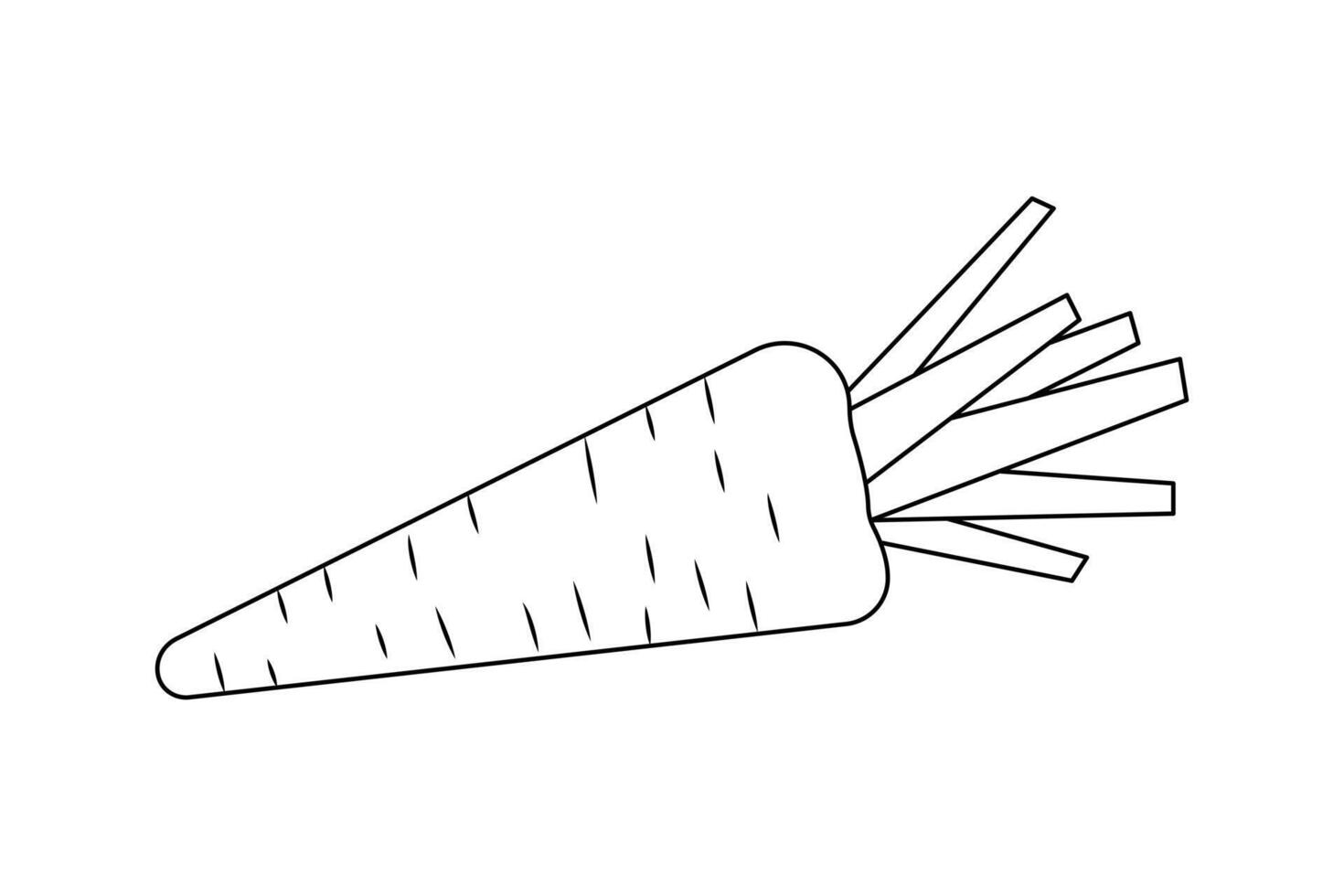 One line drawing of carrot icon in minimalist clean outline isolated on white illustration vector