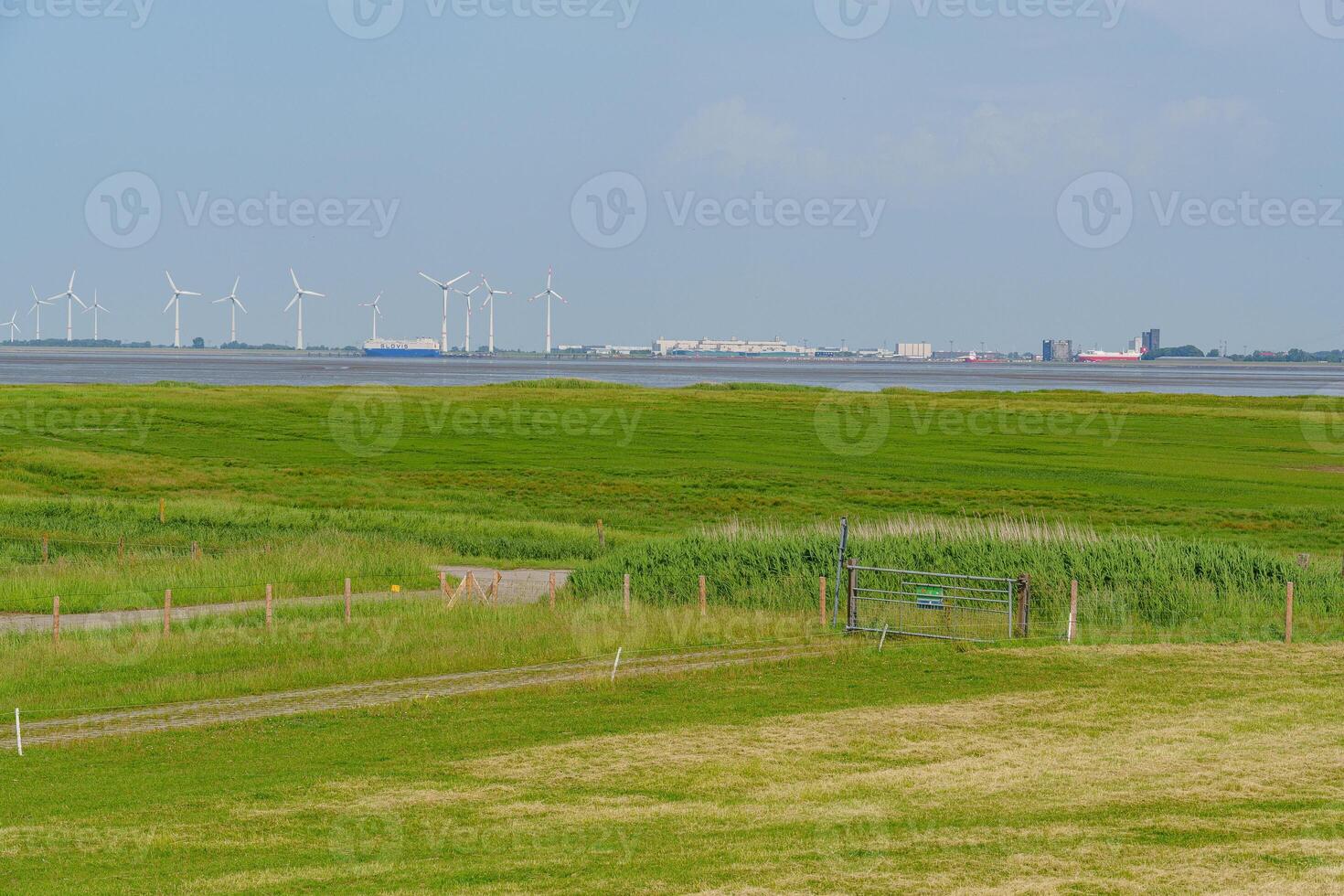 A grassy field at the ems river photo