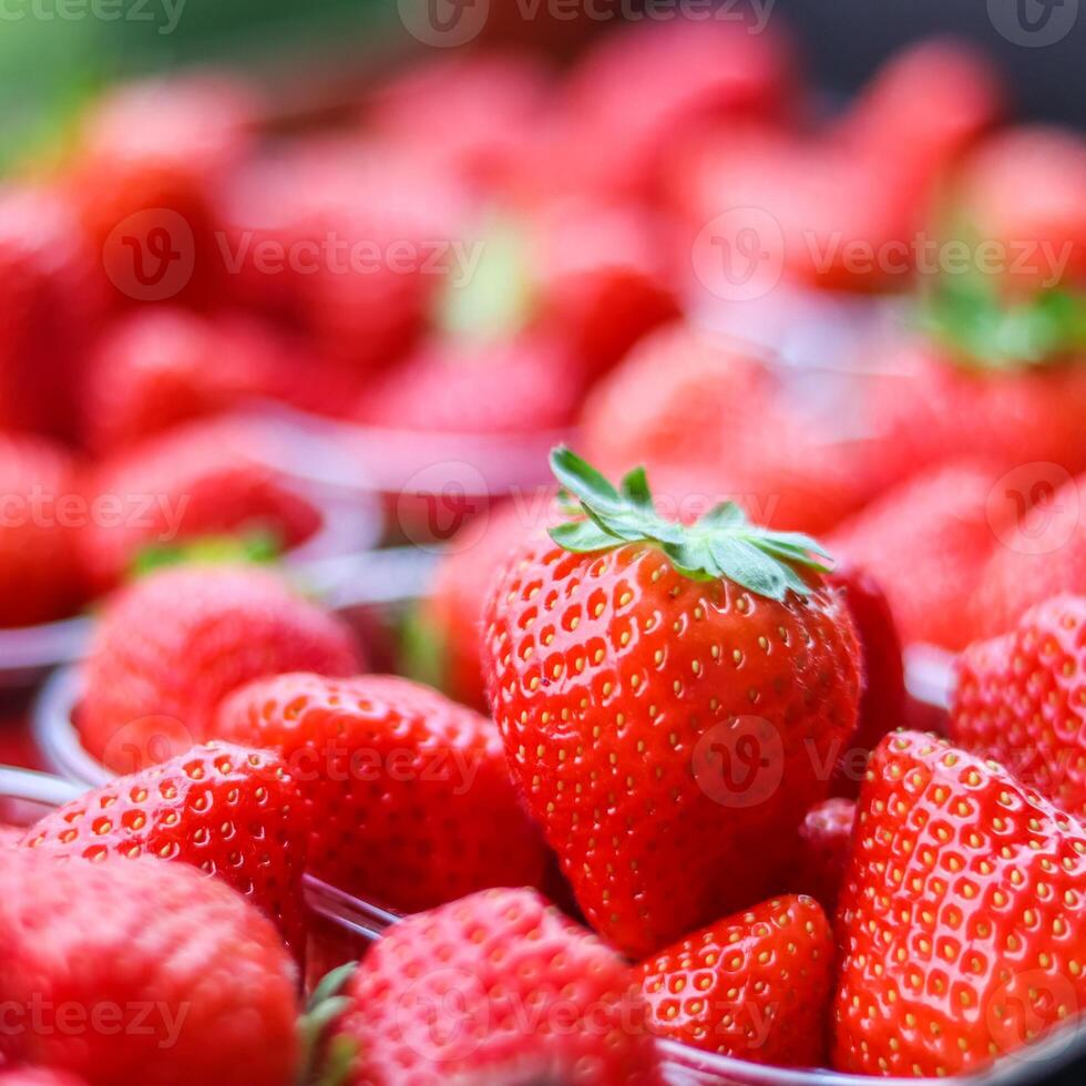 A close-up of a perfectly ripe, red strawberry with its green stem, surrounded by a blurry background of more fresh strawberries, hinting at abundance and freshness. photo
