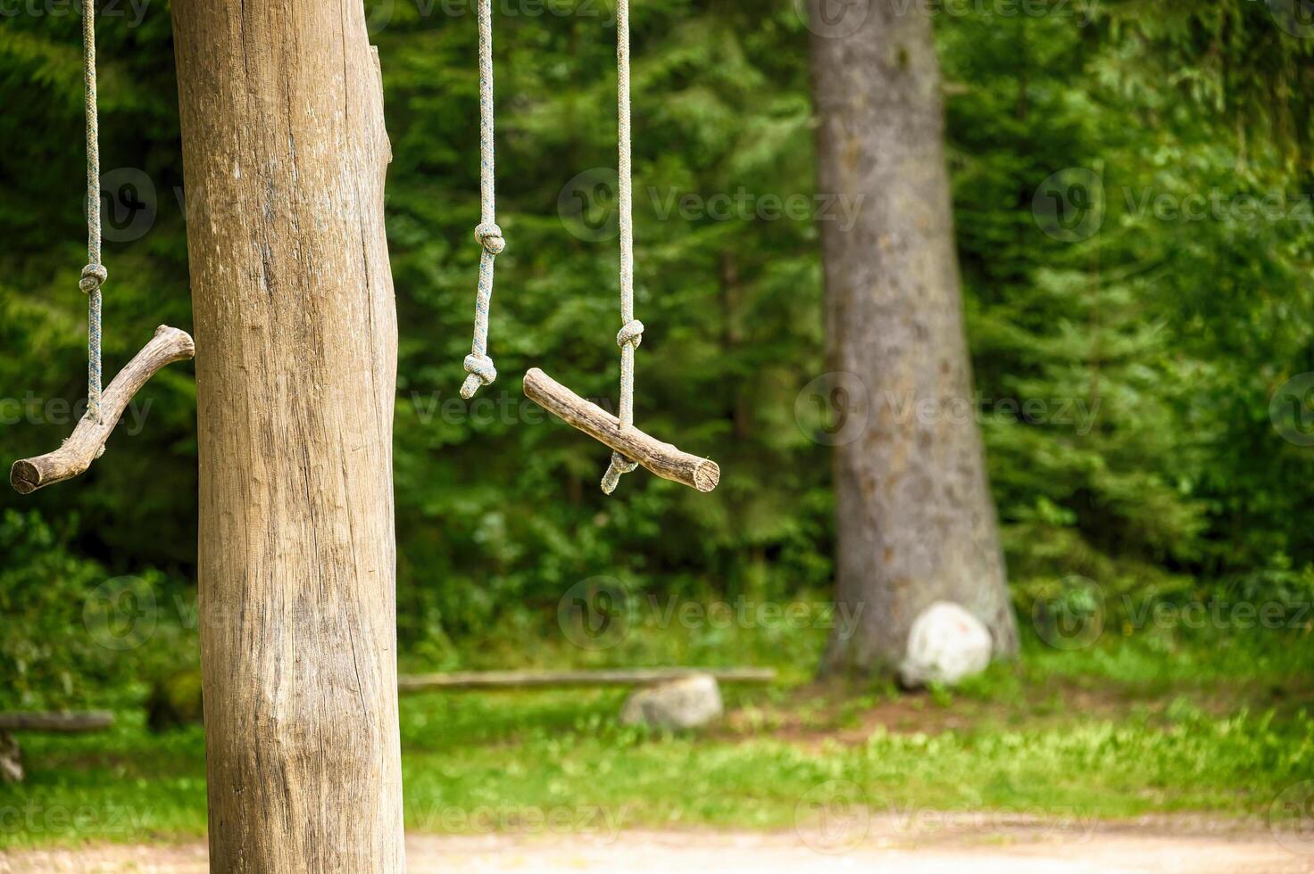 Rustic Wooden Swings Hanging on a Tree in a Forest Setting photo