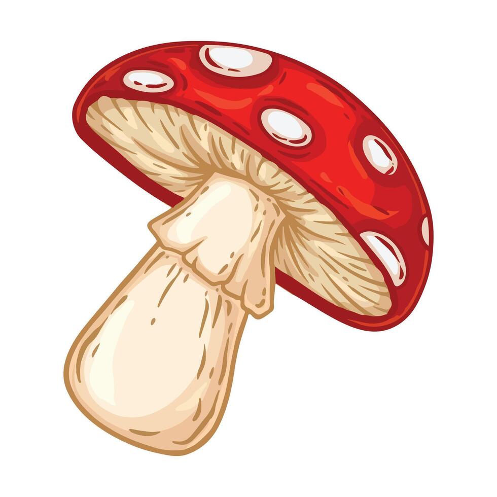 Red mushroom with white spots vector