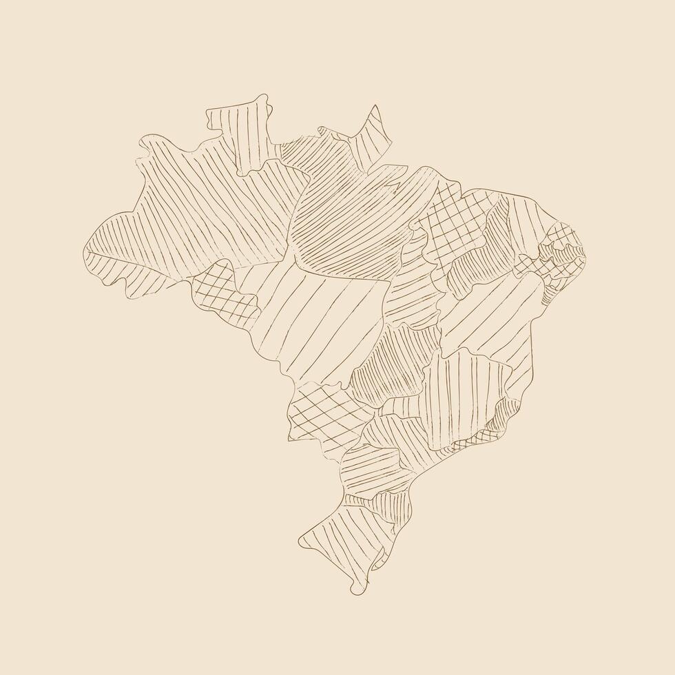 Map of Brazil with patterned regions vector
