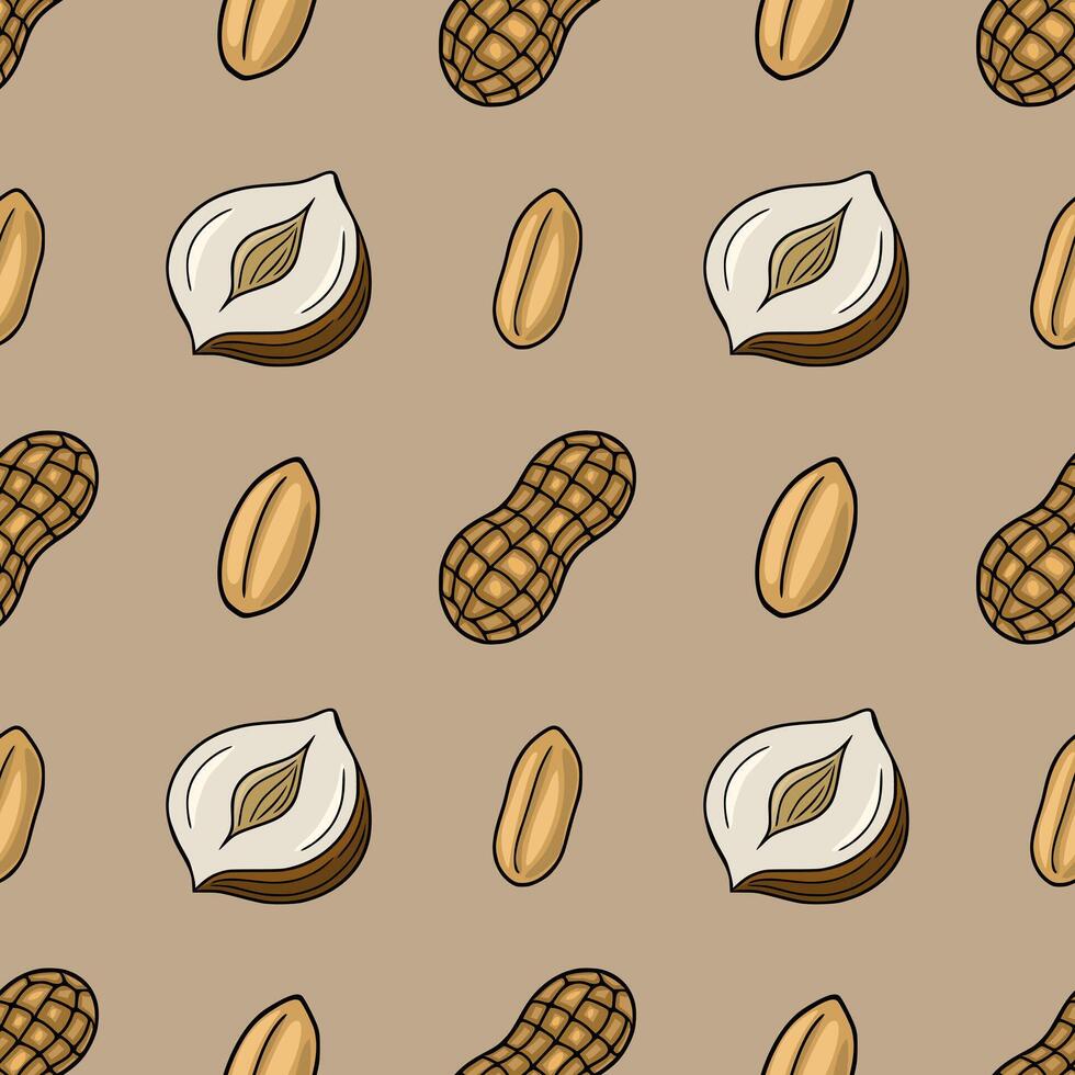 Illustration of peanuts on beige background vector