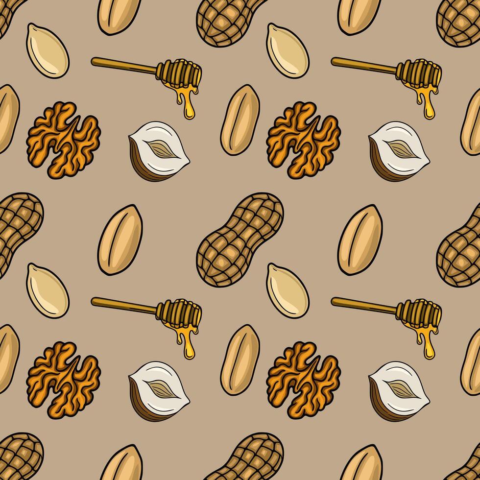 Pattern of nuts and honey vector