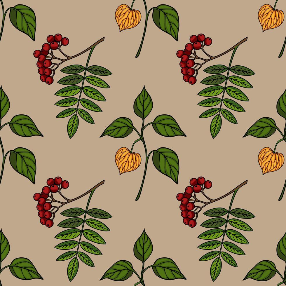 Colorful floral design with leaves and berries vector