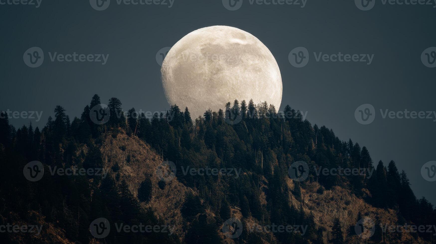 Majestic Full Moon Rising Over Lush Mountain Landscape at Dusk with Clear Night Sky and Pine Trees in Foreground photo