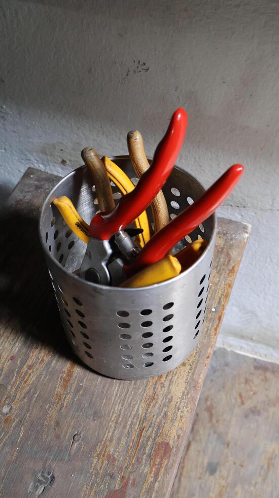 A container holding pruning shears for a small home garden photo