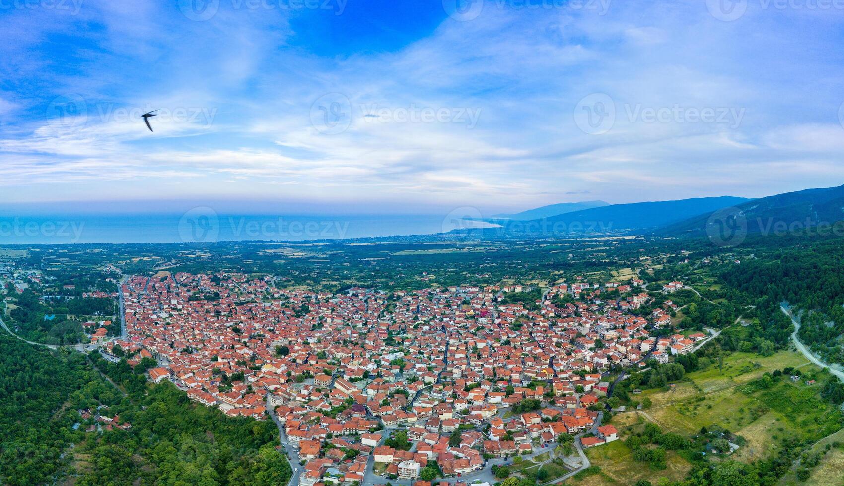 Panorama of Greek town of Litochoro with small houses and green vegetation against the backdrop of the Aegean Sea and a cloudy sky photo