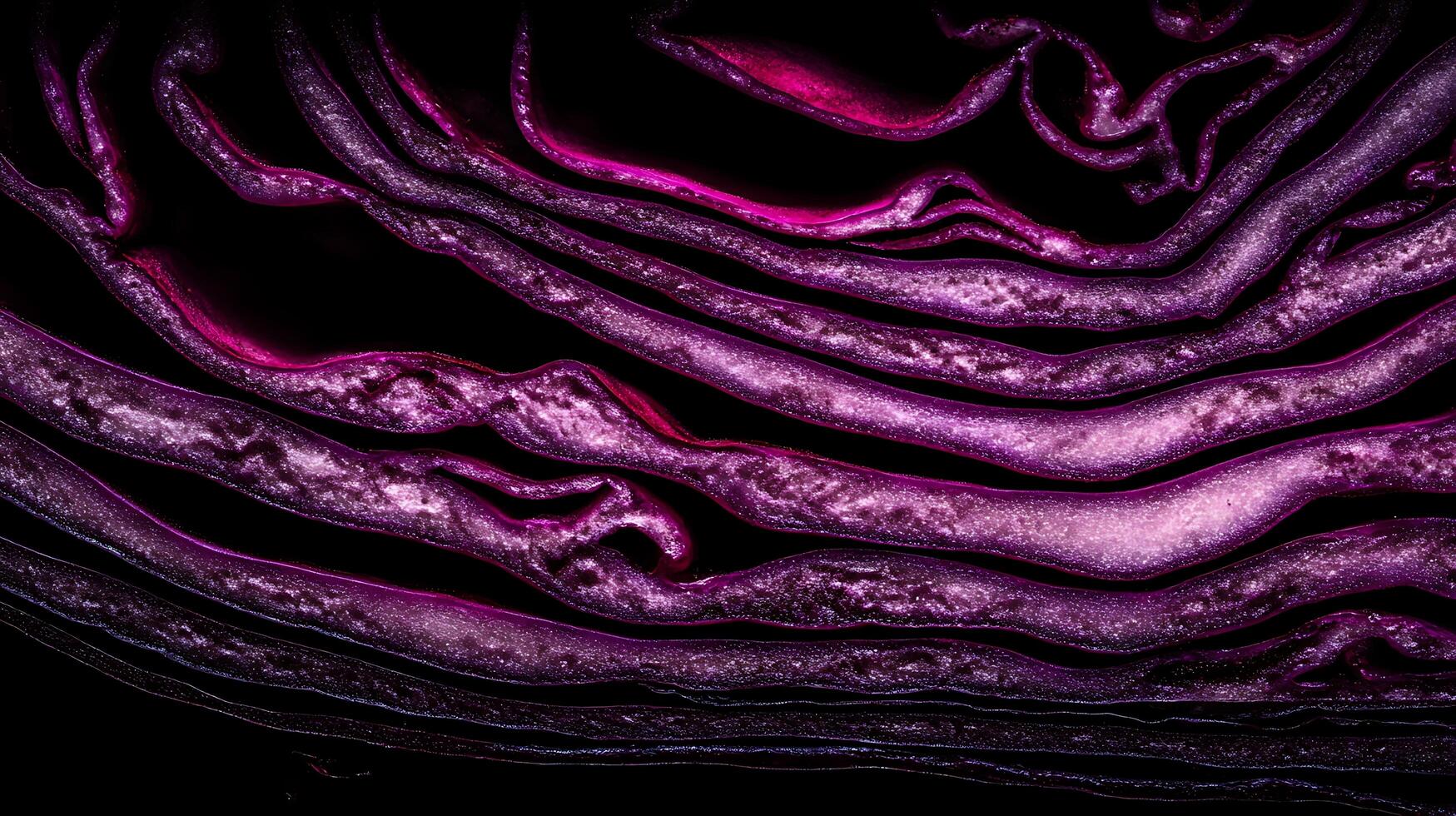 Abstract Purple Waves Glow with Inner Light on Black Background. photo