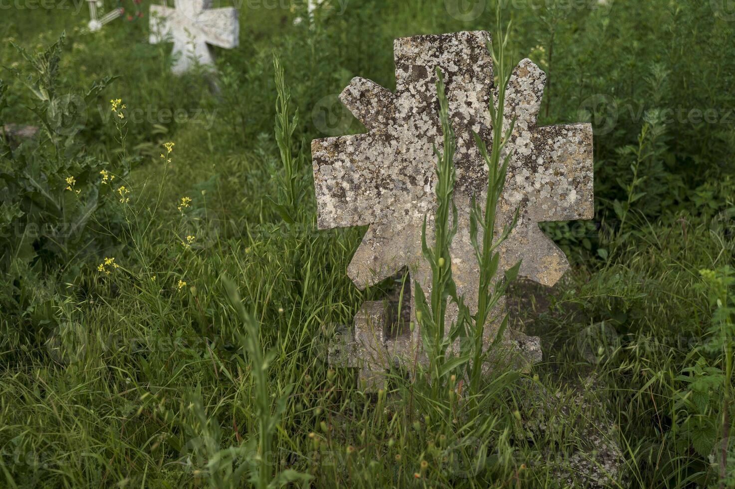 Ancient stone christian cross in gothic style. old cemetery overgrown with grass. photo