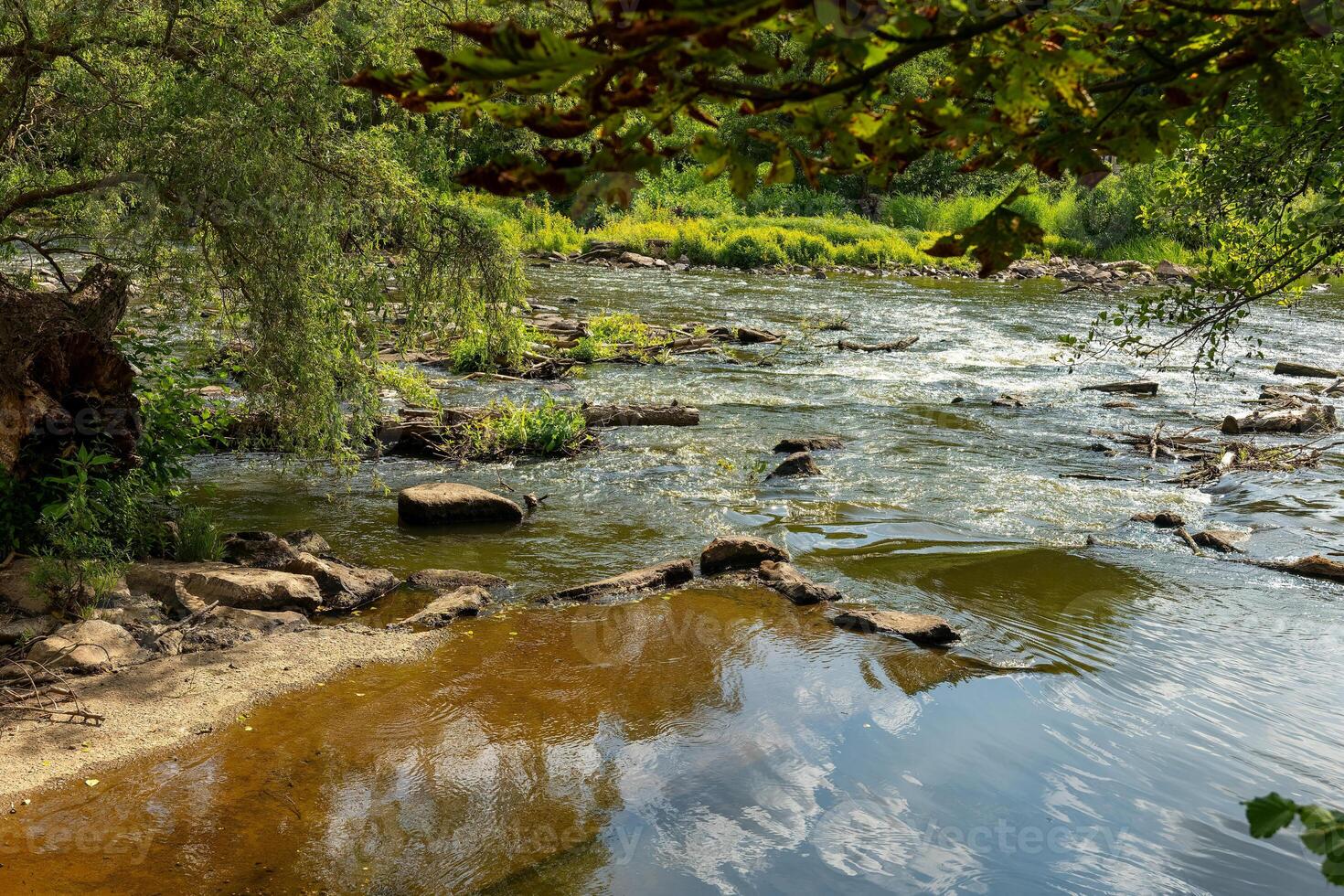 Calm riverbank nestled between lush greenery, showcasing tranquil waters under bright sunlight in a serene outdoor setting photo