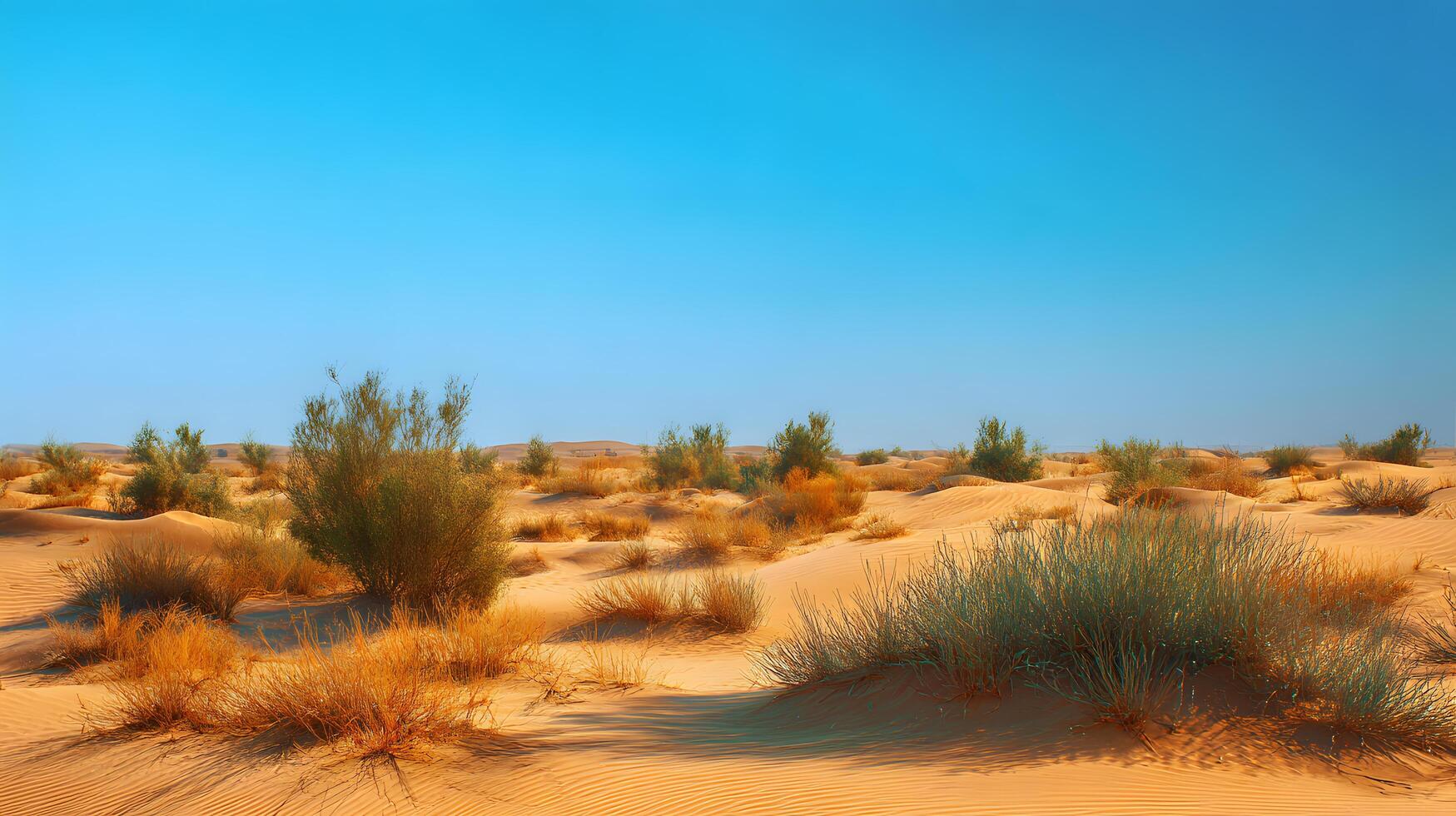 A desert with grass and bushes in the middle photo