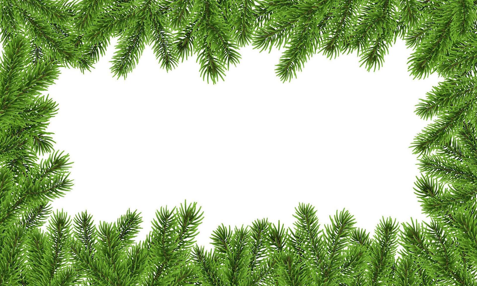 Fir branch frame, Christmas tree background, pine border vector