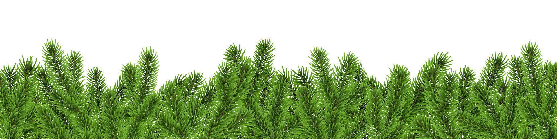 Christmas tree border, fir branch banner, pine background vector