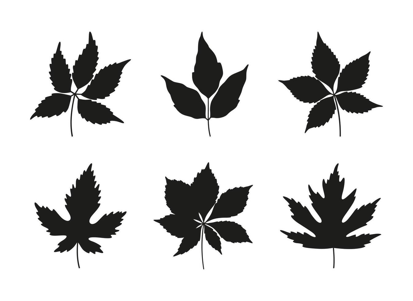 Set of autumn leaves maple, chestnut, and five leaved ivy. Black silhouettes on a white background. Spring, summer, or fall collection foliage, illustration vector