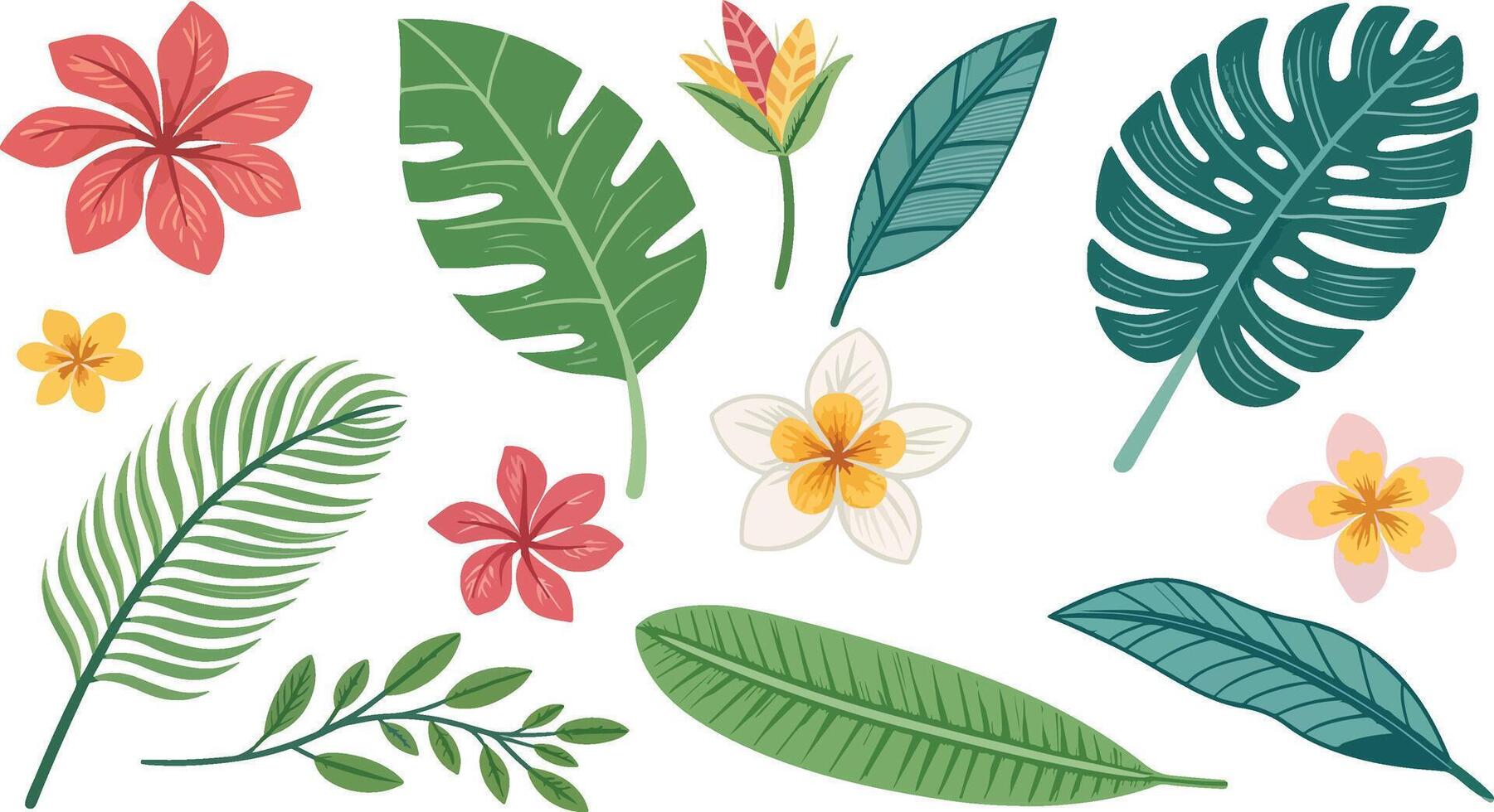 Tropical flowers and exotic jungle leaves collection in a variety of shapes and colors. Tropical foliage and exotic flowers set vector