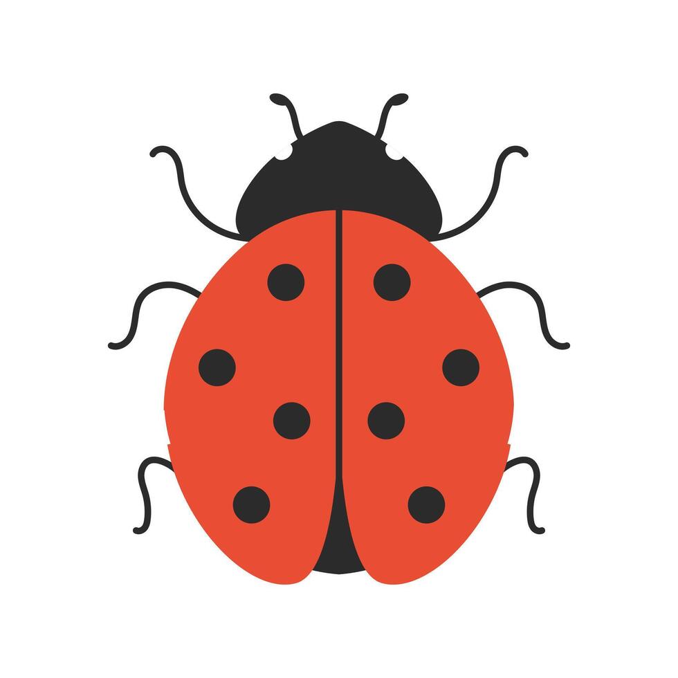 Cute ladybug. Flat cartoon insect design for children design and eco themes. illustration. vector