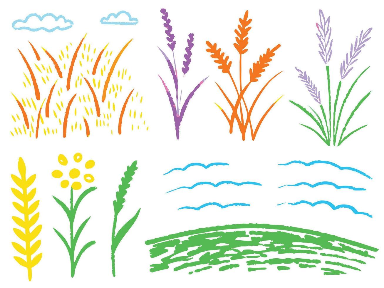 Wheat field with grass and colorful flowers in spring illustration vector