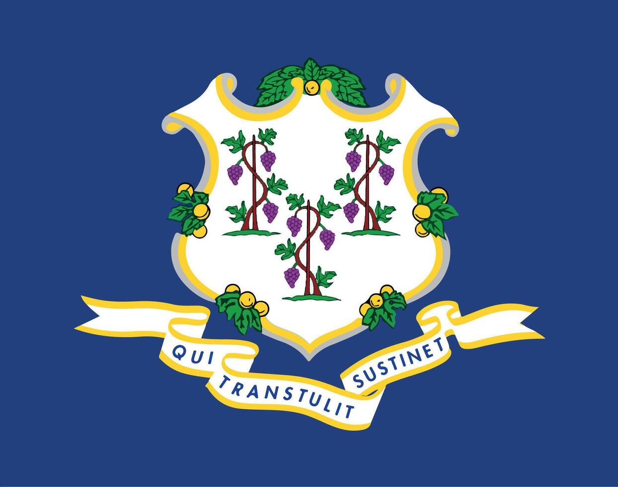 The flag of the state of Connecticut in the USA vector