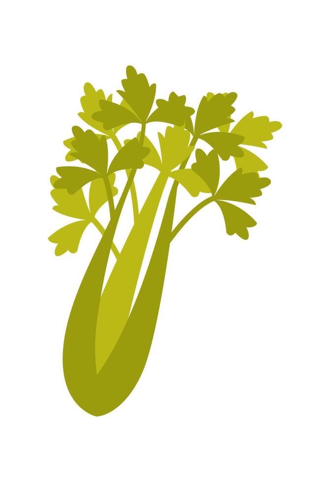 Parsley flat icon Allergen food vector