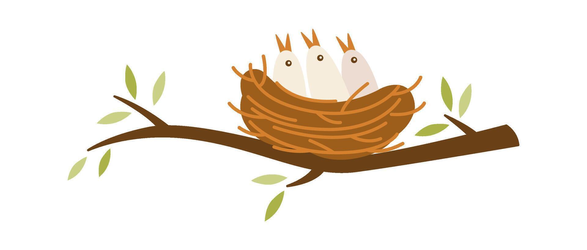 Tree branch with bird nest with chicks inside flat icon vector