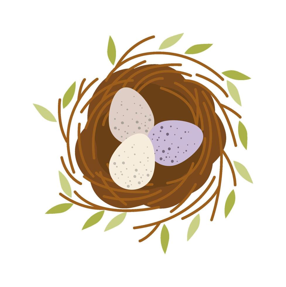 Bird eggs inside nest flat icon vector