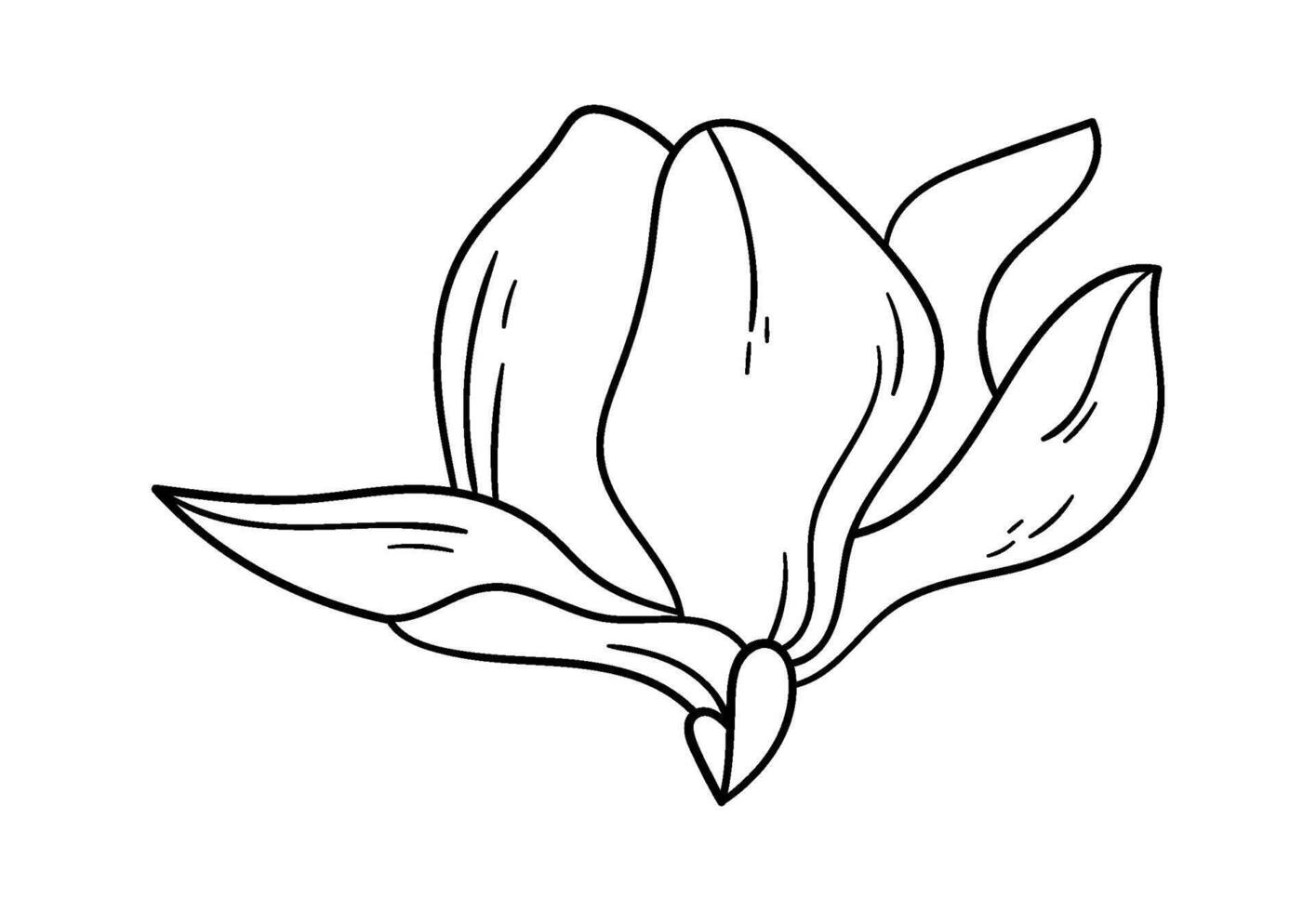 Blooming magnolia line art Contemporary floral design vector
