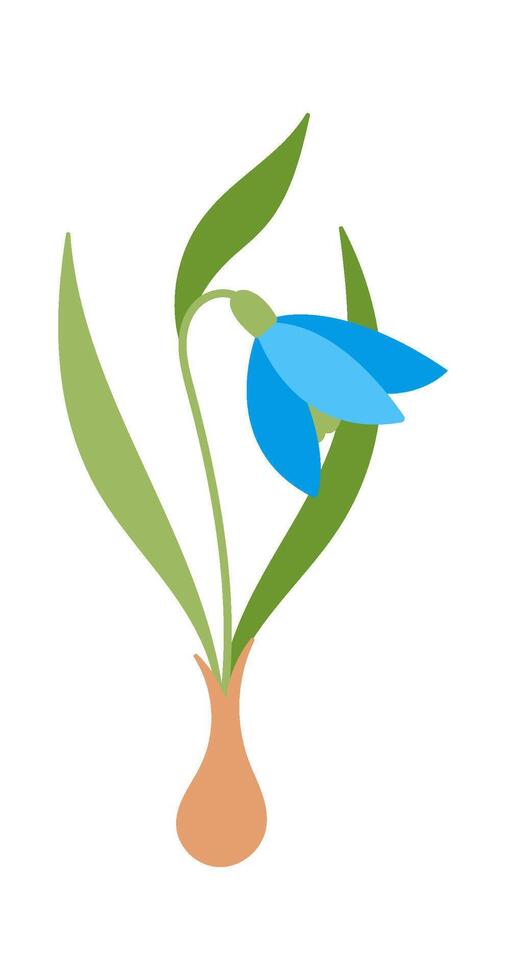 Snowdrop flower with bulb flat icon Bloom stem and leaves vector