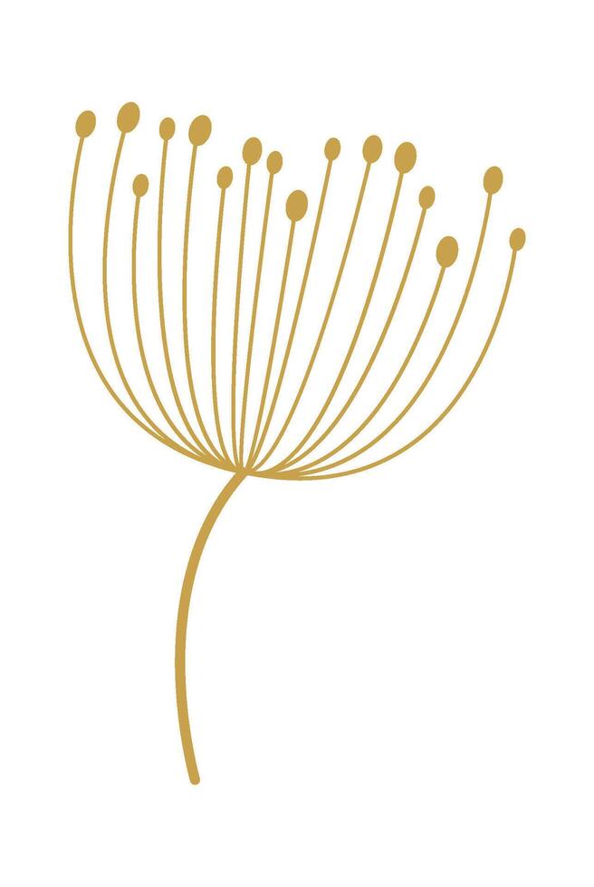 Dandelion flower line art Contemporary floral design Flat Illustration vector