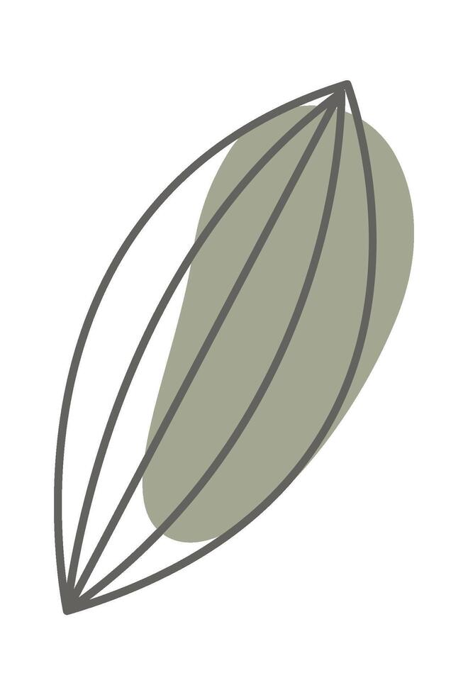Leaf of dandelion line art with colorful spot background Icon vector