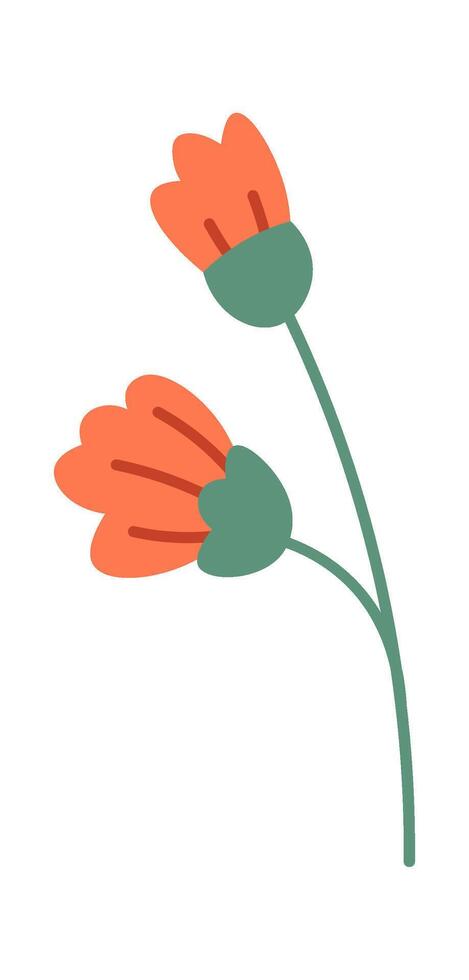 Flat Illustration Summer flower flat icon Floral decor Wildflowers vector