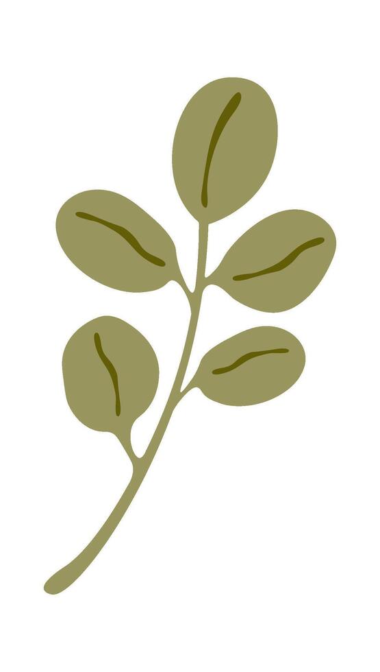Hand drawn leaf decor element flat icon vector