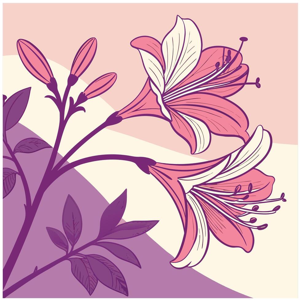 Delicate pink lily flowers and buds silhouette isolated on white background vector