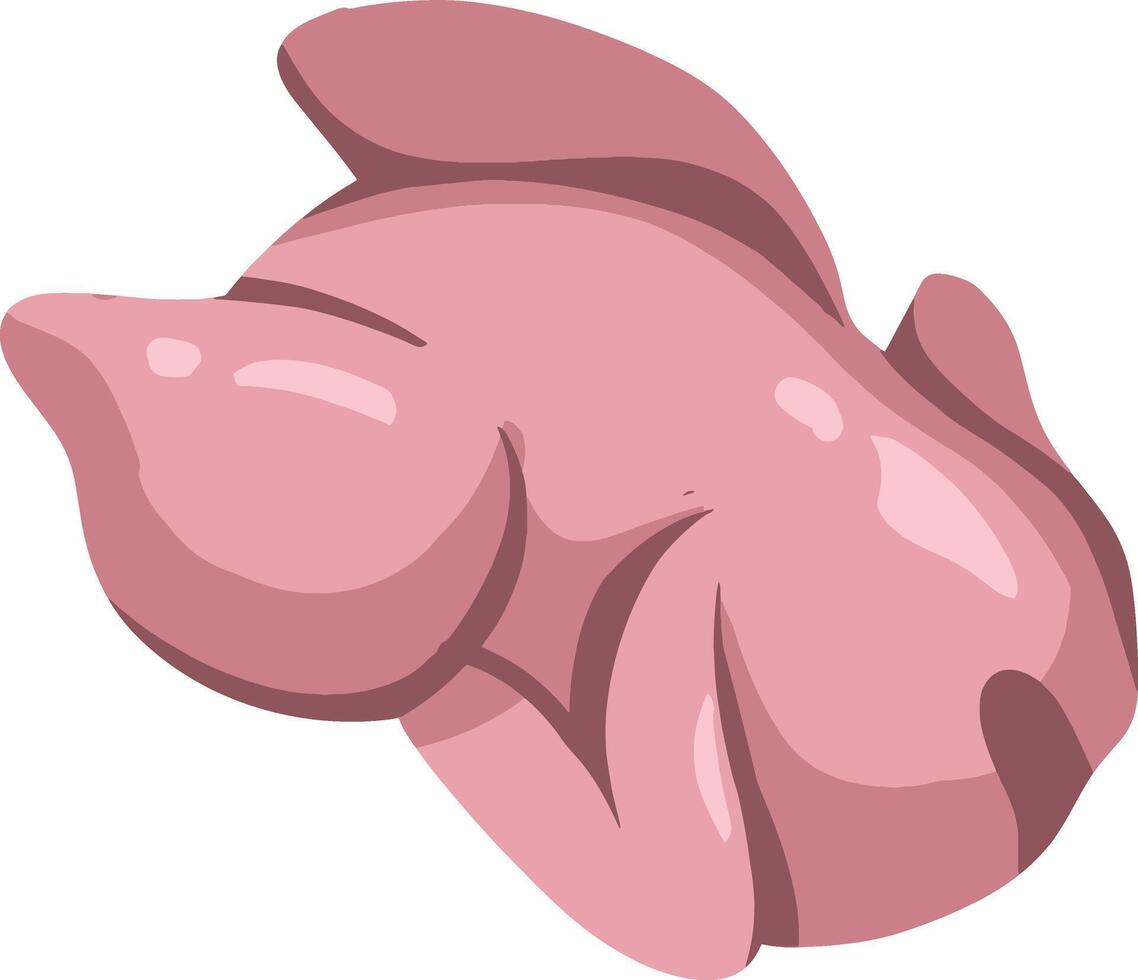 Whole Roasted Chicken vector