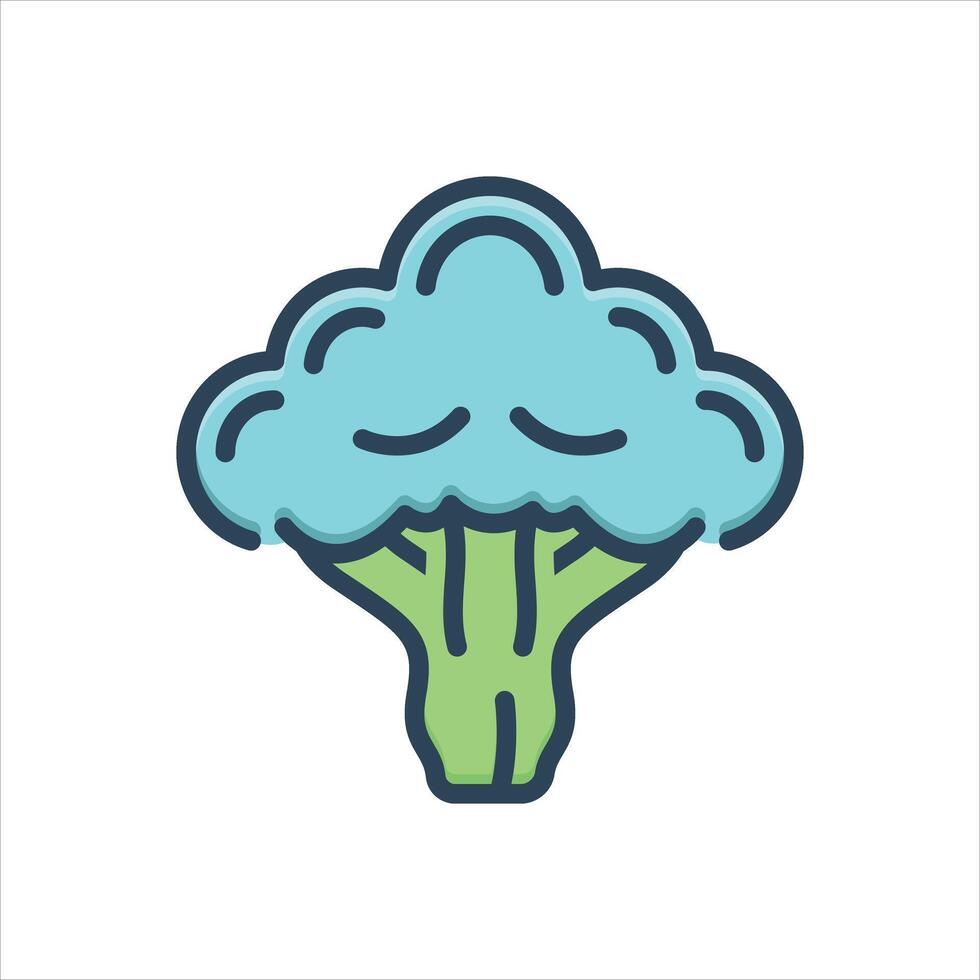 Color icon broccoli vector