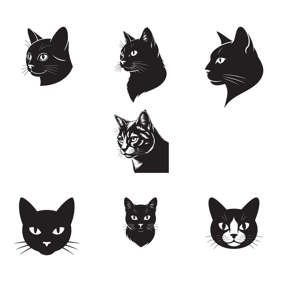 Elegant Black and White Cat Portraits for Design vector
