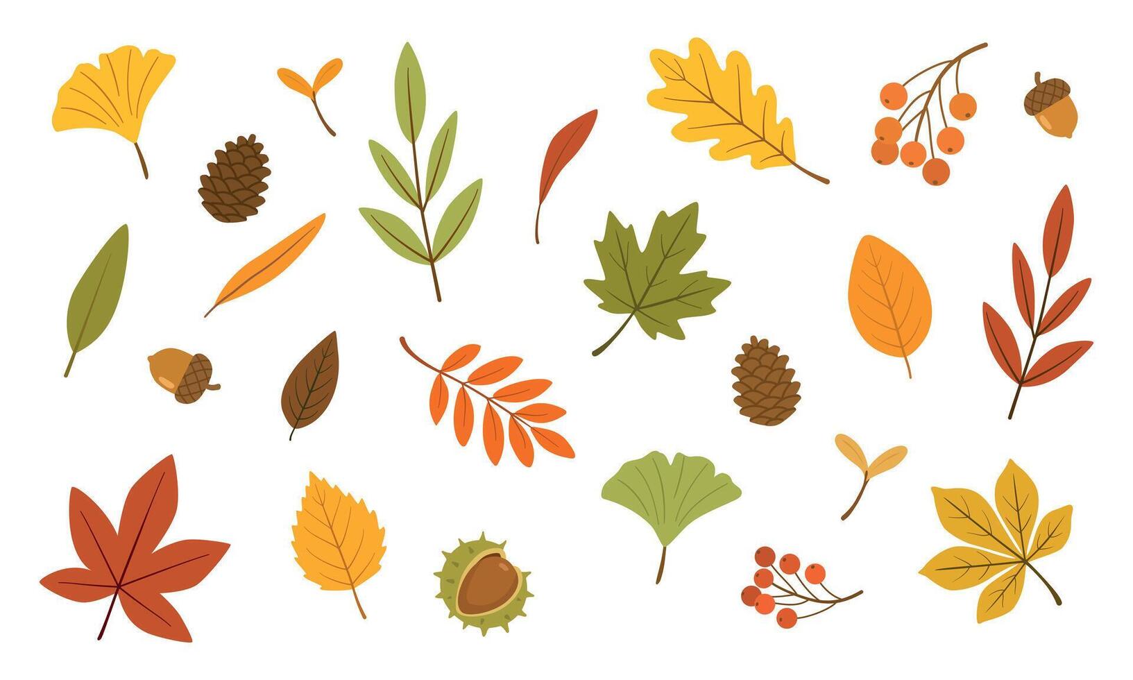 Set of autumn forest leaves from different trees, berries and chestnut vector