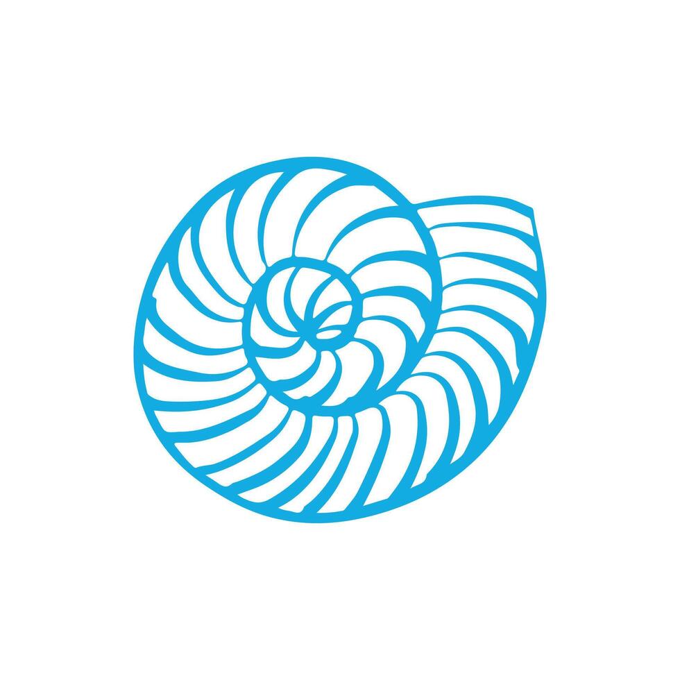 Round shell in doodle style. Sea snail shell. Twisted spiral shell. Hand drawn illustration isolated on white background. vector