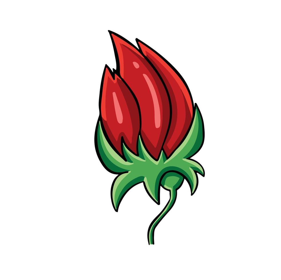 Red flower bud plant illustration vector