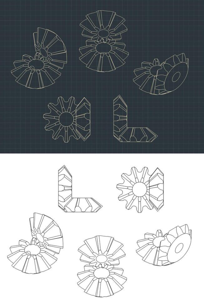 Bevel Gear Module Drawings vector