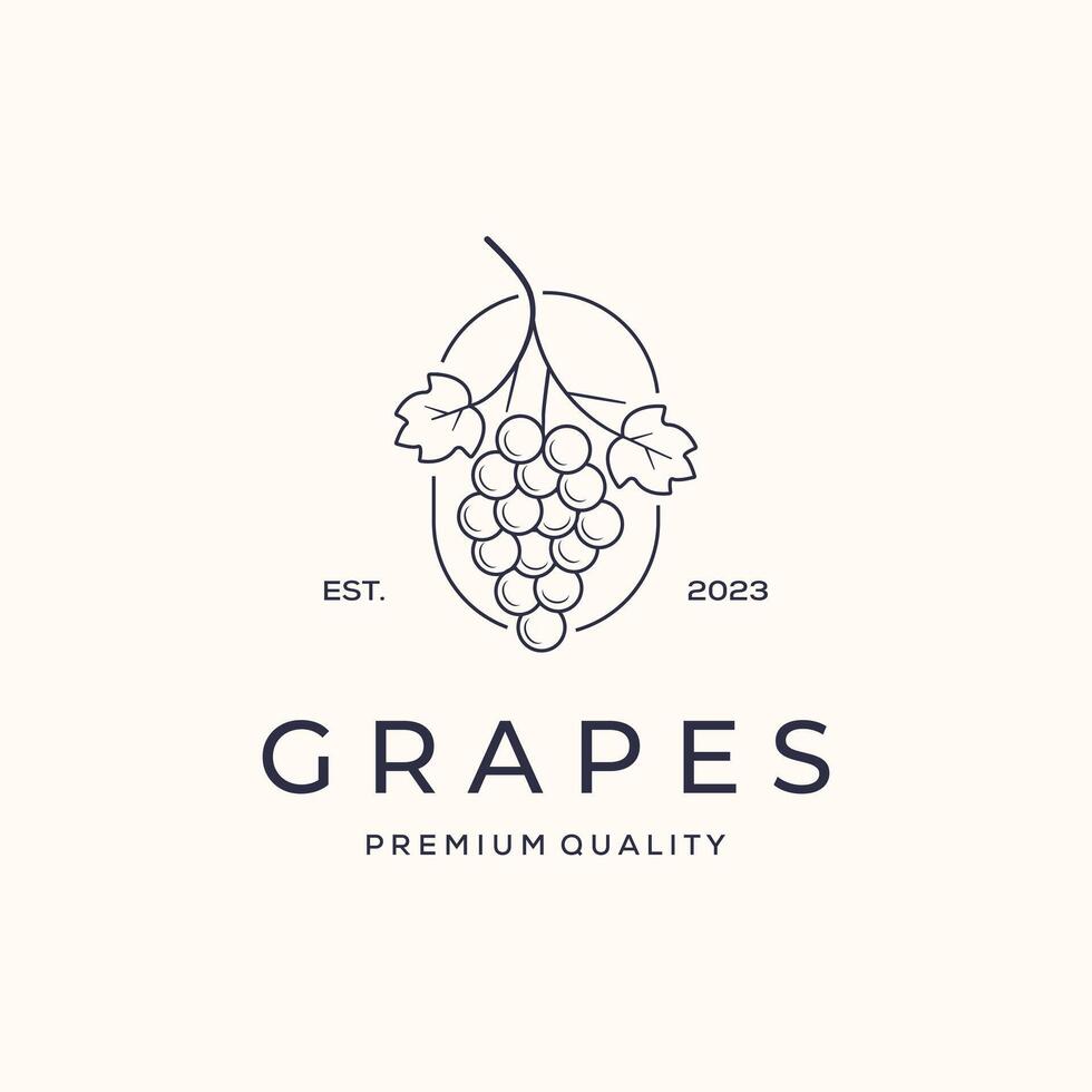 grape nutrition fruit line art logo minimalist illustration design, grapes fresh symbol design vector