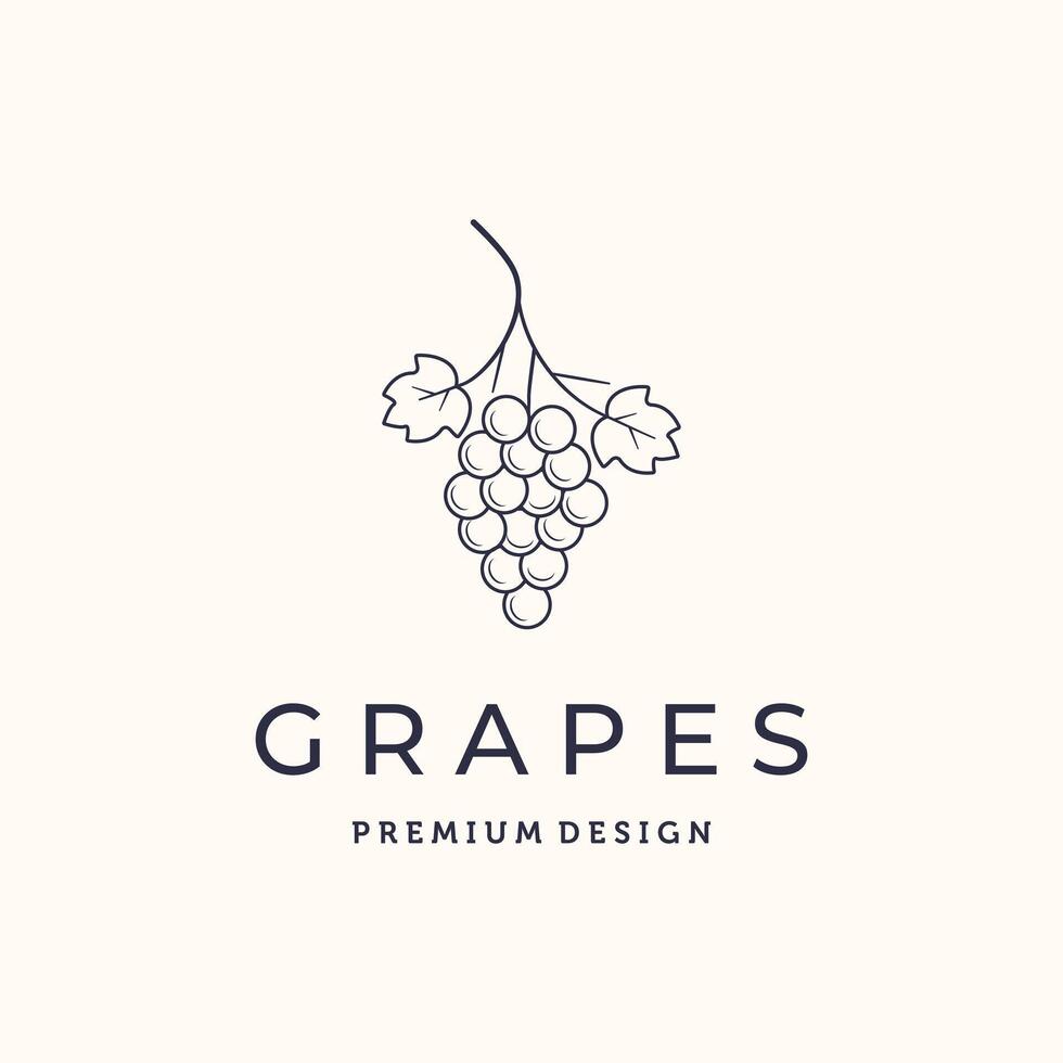 grape health fruit line art logo minimalist illustration design, grapes dessert logo design vector