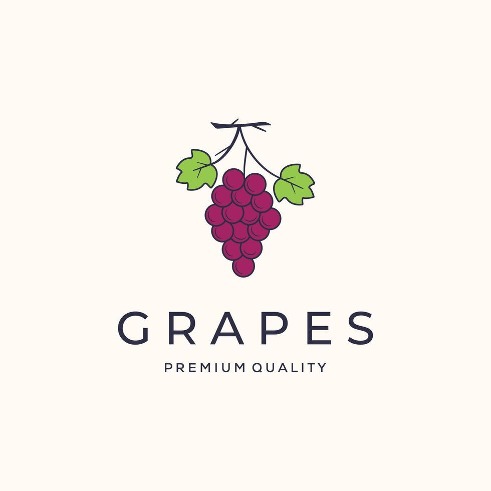 grape health nutrition vintage logo minimalist illustration design, fresh grapes fruit logo design vector