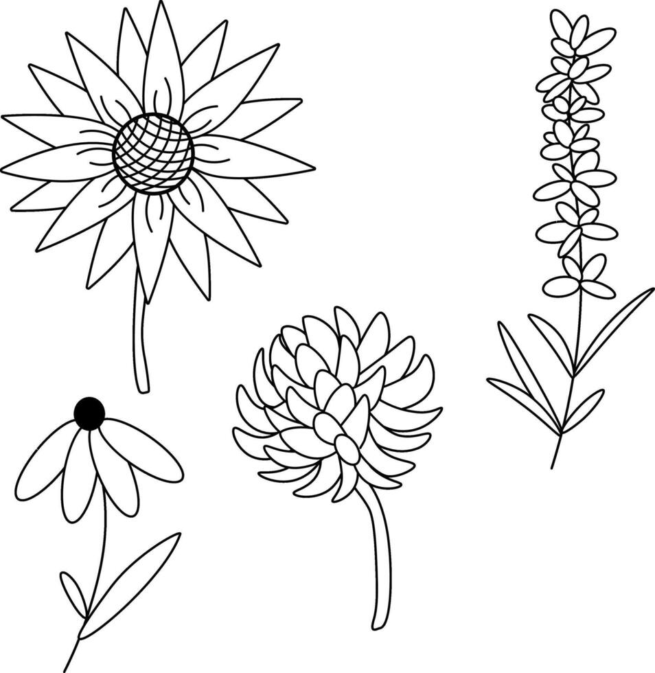 Wild flowers clover sunflower lavender Honey set. graphic line illustration. for production design for fashion graphics, textile prints, fabrics, wallpapers. vector