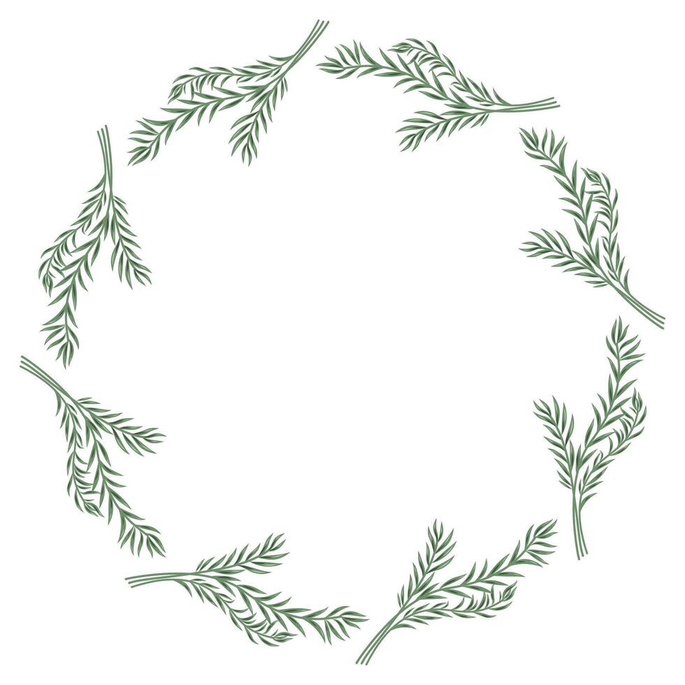 Floral wreath of herbs in a circle, wild herbs, botanical illustration. Great for posting text, quote, or logo. Round frame or border., frame, leaf vector
