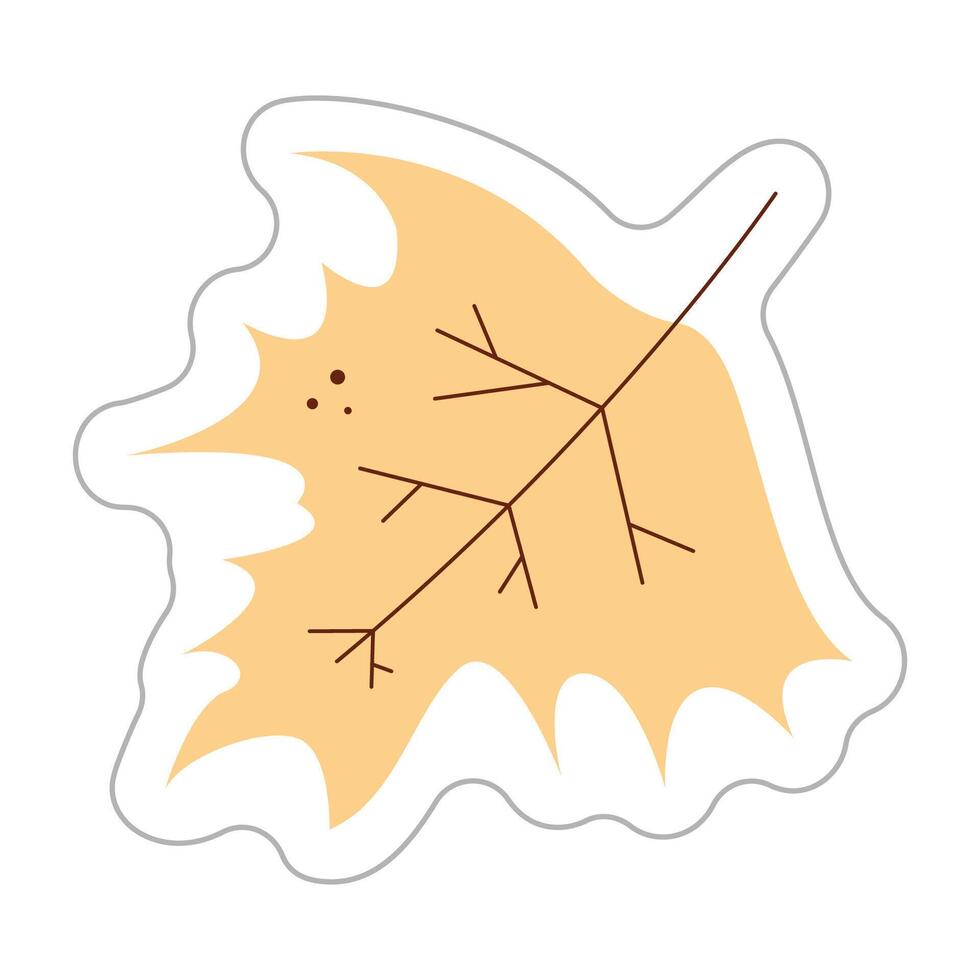Sticker with maple leaf. Color hand drawn clipart illustration. vector